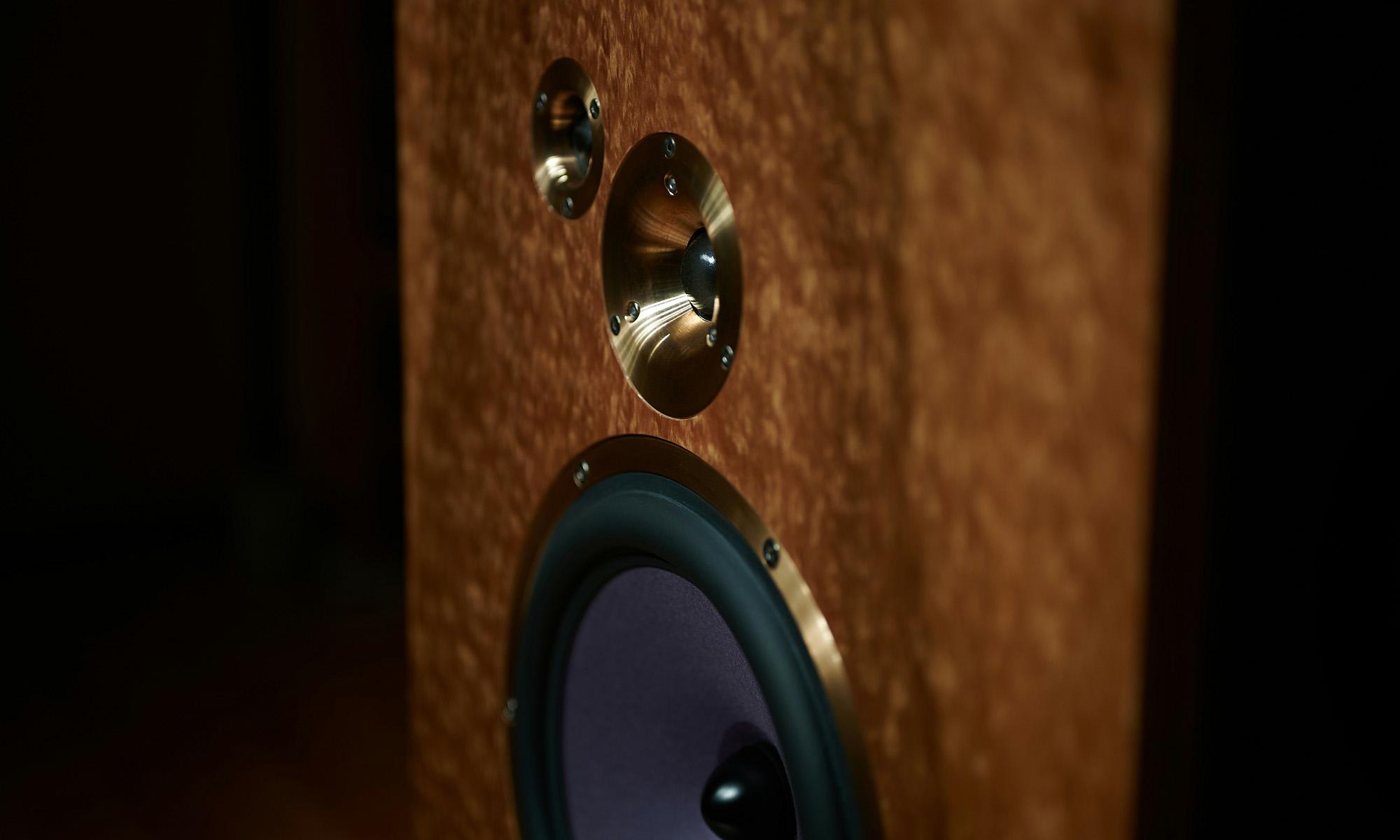 Devore Fidelity Speakers - 2017 Speaker of the year