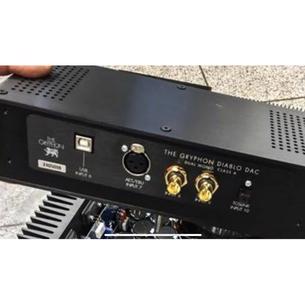 Gryphon diablo 300 dac