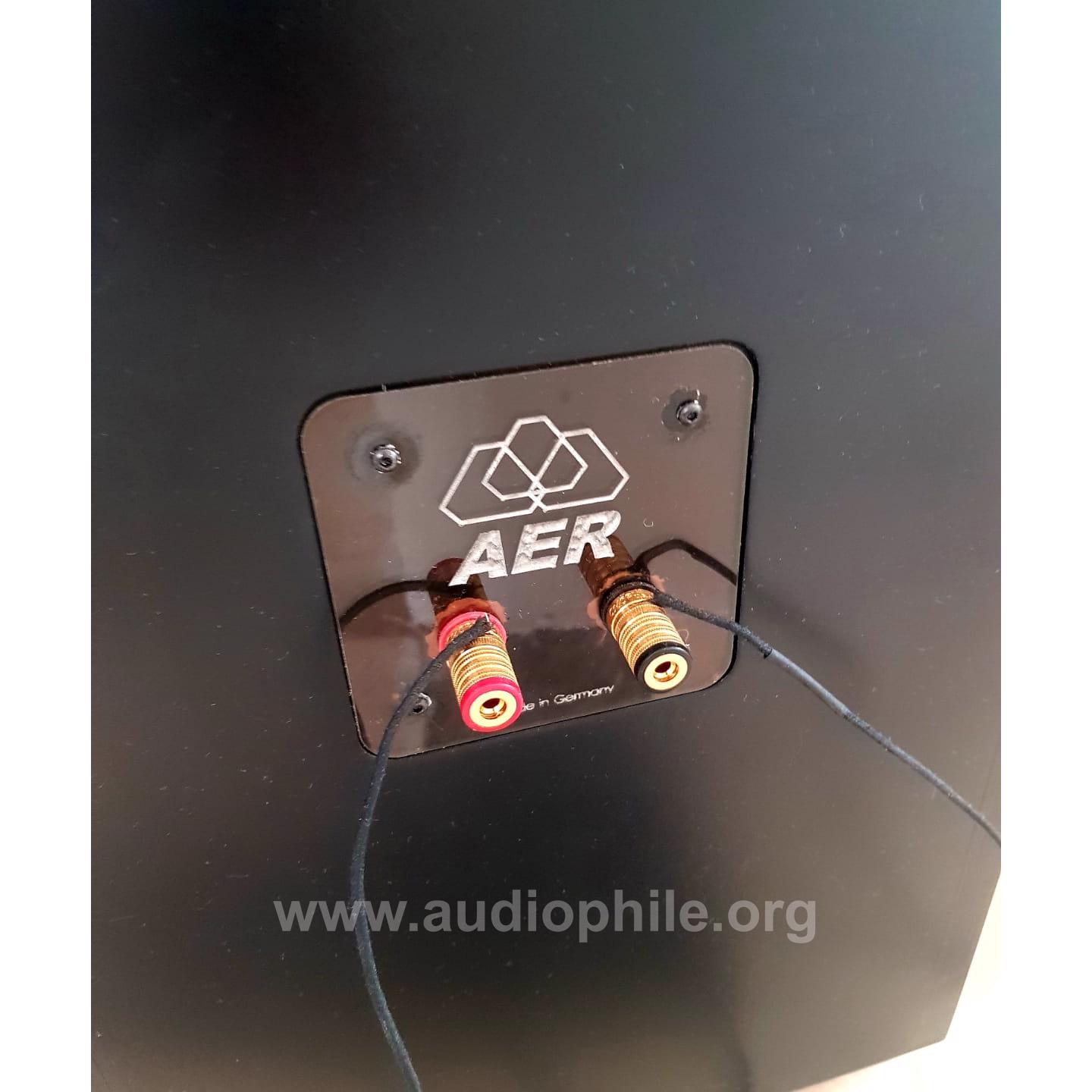 Aer mk1 full range speaker 