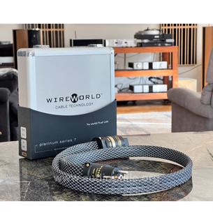 Wireworld platinum electra power cord