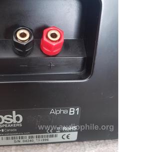 Psb  alpha  b1 speaker