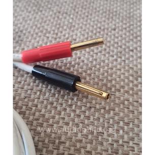 Black rhodium. twist model. 2x265 cm uzulukta hoparlör kablosu